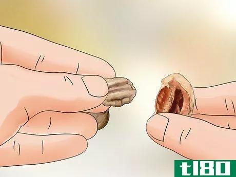 Image titled Identify Hickory Nuts Step 18