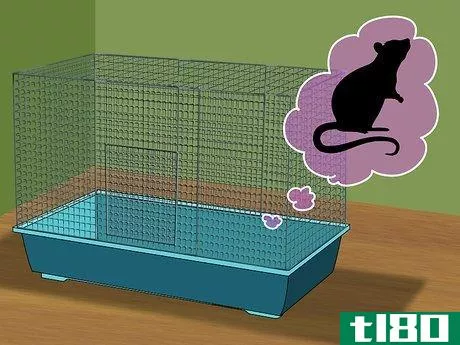 Image titled Get a Pet Rat Step 11