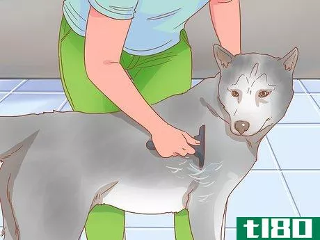 Image titled Keep Your Pets Happy Step 13