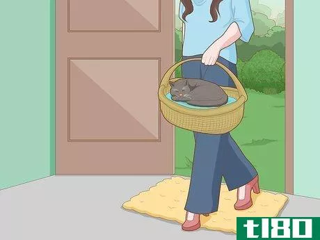 Image titled Get Rid of Rats Without Harming the Environment Step 7