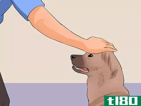 Image titled Keep Elderly Family Safe Around Active Dogs Step 9