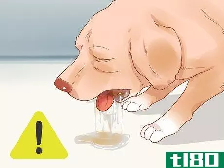 Image titled Know When Your Dog is Sick Step 15