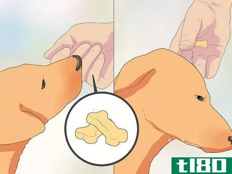 Image titled Introduce a Dog to Pet Chickens Step 11