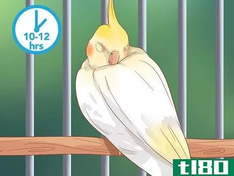 Image titled Keep Your Cockatiel Happy Step 7