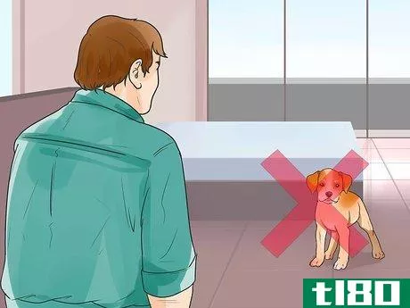 Image titled Keep Fleas Off Dogs Step 14