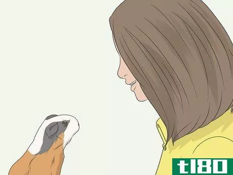 Image titled Hold a Guinea Pig Step 11