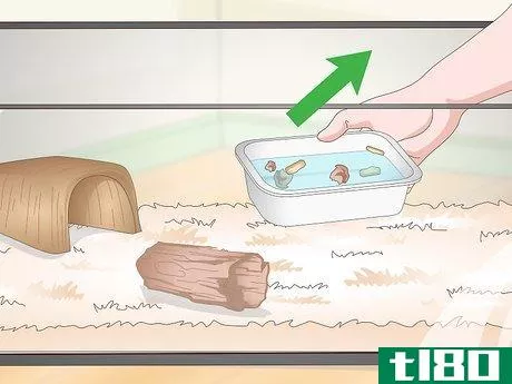 Image titled Get Rid of Mites on Snakes Step 7