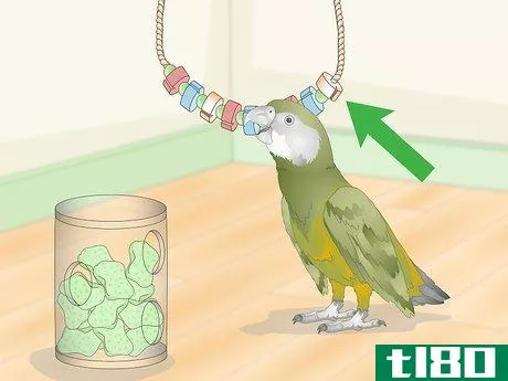 Image titled Keep a Senegal Parrot Entertained Step 14