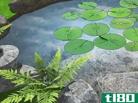 Image titled Get Rid of Algae in Ponds Step 1