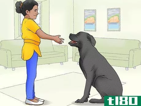 Image titled Identify a Mastiff Step 12