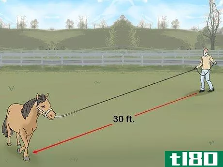 Image titled Keep a Miniature Horse Fit Step 6