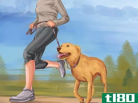 Image titled Help a Dog with Sleep Incontinence Step 14