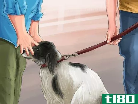 Image titled Introduce a Dog to a New Family Member Step 17