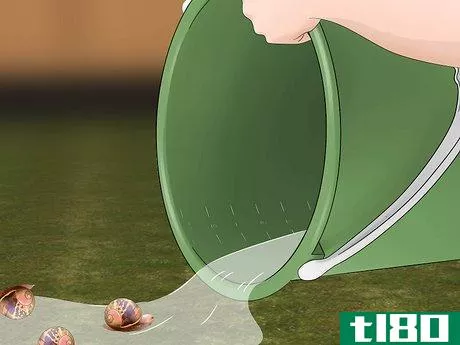 Image titled Get Rid of Garden Snails Step 6