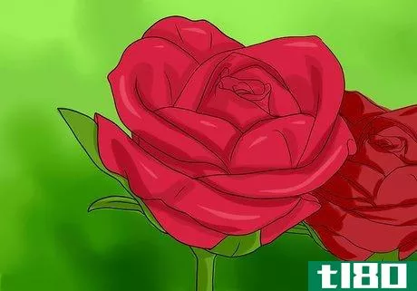 Image titled Keep Rose Petals Fresh Step 1