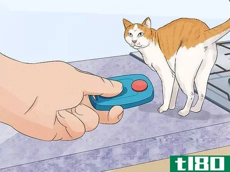 Image titled Keep a Cat Off a Stove Step 13