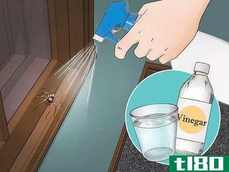 Image titled Get Rid of Spiders in the House Step 11