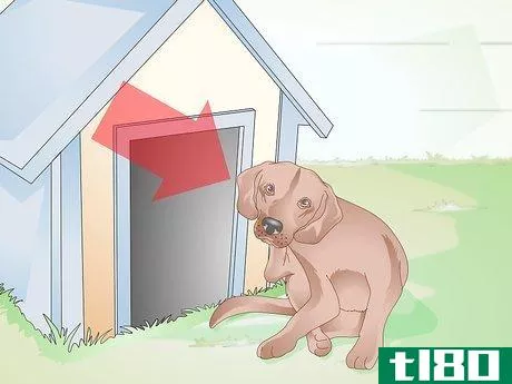 Image titled Identify Canine Ear Mites Step 1