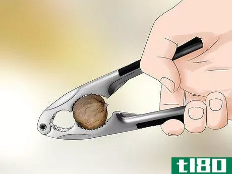 Image titled Identify Hickory Nuts Step 17