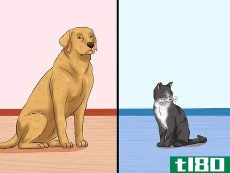 Image titled Introduce an Older Cat to a New Dog Step 1