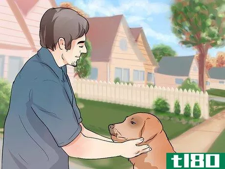 Image titled Get a Therapy Dog Step 6