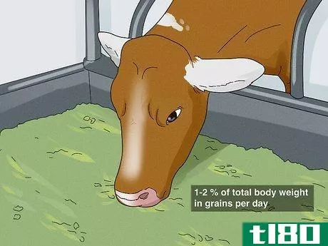 Image titled Increase Dairy Milk Production Step 7