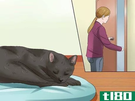 Image titled Help Cats to Sleep at Bedtime Step 7