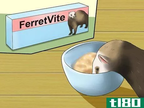 Image titled Keep Your Ferret's Hair Healthy Step 4