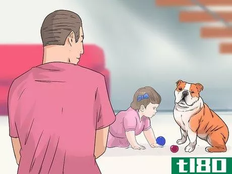 Image titled Get Your Dog to Welcome Your Baby Step 17