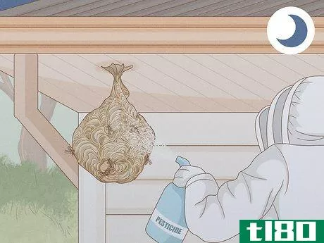 Image titled Get Rid of a Wasp's Nest Step 10
