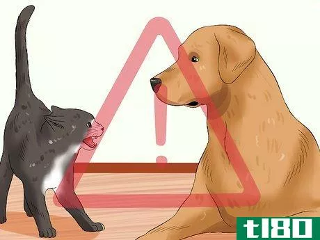 Image titled Introduce an Older Cat to a New Dog Step 8