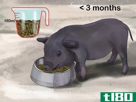 Image titled Have a Potbellied Pig for a Pet Step 12