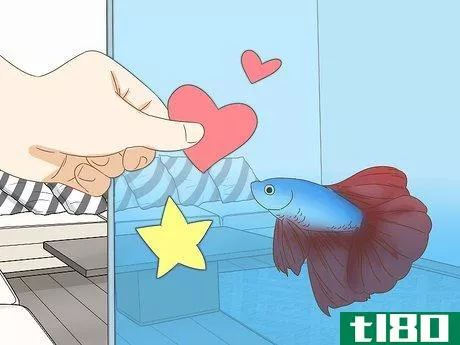 Image titled Grow a Bond With Your Betta Fish Step 8