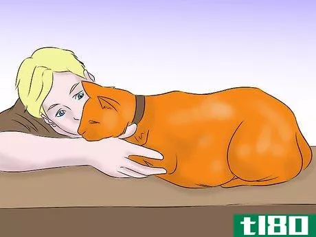 Image titled Help a Cat with Epileptic Seizures Step 4