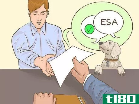 Image titled Get an Emotional Support Animal Letter Step 8