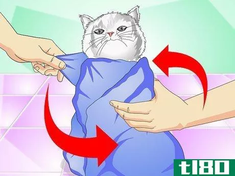Image titled Give Cats Liquid Medicine Step 5