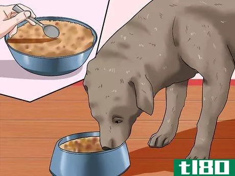 Image titled Help Your Dog Lose Weight Step 7