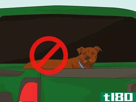 Image titled Handle Holiday Travel with Your Pet Step 6