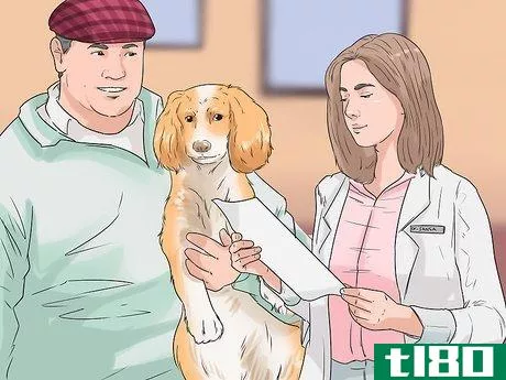 Image titled Get Your Dog to Welcome Your Baby Step 10