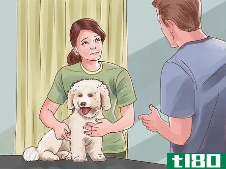 Image titled Help Your Dog Through Physical Therapy Step 1