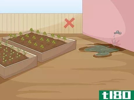 Image titled Keep Rats Out of a Vegetable Garden Step 3
