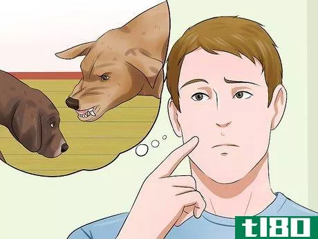 Image titled Get Your Puppy to Stop Biting Step 2