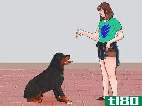 Image titled Hold a Dog's Leash Step 7
