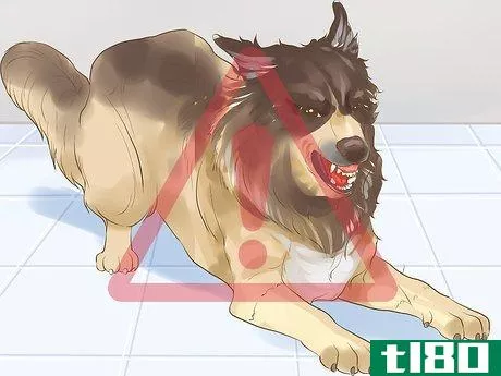 Image titled Include Your Dog in an Emergency Disaster Plan Step 15