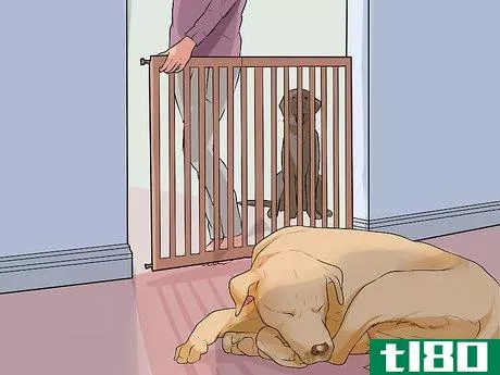 Image titled Handle Sleep Aggression in Senior Dogs Step 5