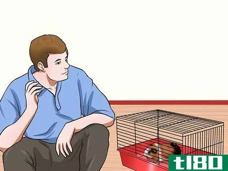 Image titled Get Your Guinea Pig to Stop Biting You Step 6