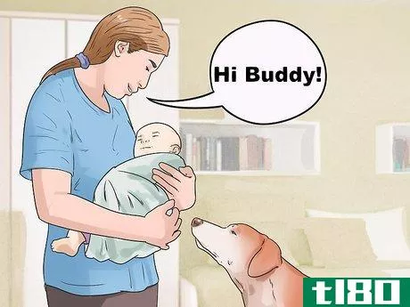 Image titled Get Your Dog to Welcome Your Baby Step 13