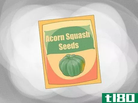 如何种植橡子南瓜(grow acorn squash)