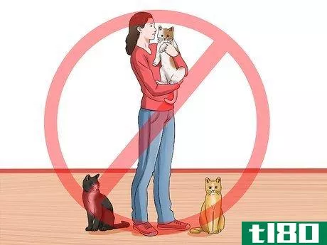 Image titled Have Cats Without Being a Cat Lady Step 1