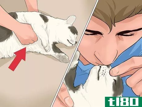 Image titled Give First Aid to an Electrocuted Animal Step 5